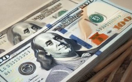 سعر الدولار اليوم الخميس 26-12-2024.. البيع بـ50.94 والشراء بـ50.84 جنيه