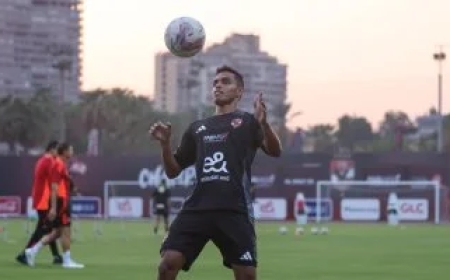 كولر يعد الدبيس بفرصة فى مباريات الأهلى بالدوري