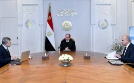 انخفاض إيرادات قناة السويس 60%.. وتوجيهات عاجلة من الرئيس السيسي