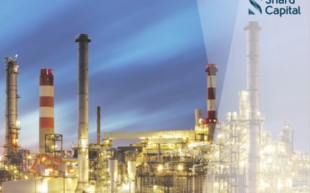 استثمارات صناعية بالمليارات بمدينة العلمين الجديدة