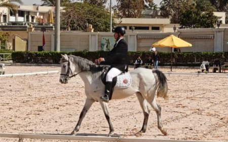 إنطلاق نهائي بطولة الجمهورية للفروسية لقادرون باختلاف لذوي الهمم غدآ