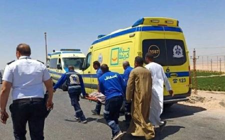 مصرع شاب وإصابة زوجته إثر مشاجرة مع شقيقه على الميراث في البحيرة