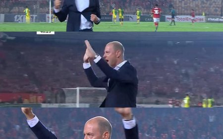 أخبار النادي الأهلي المصري اليوم الأحد