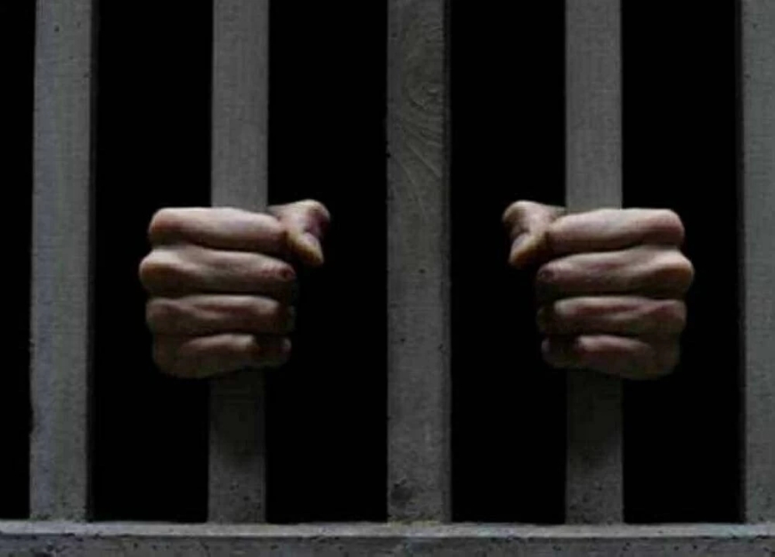 تجديد حبس سائق محافظ الدقهلية وطالب بكلية الطب 15 يومًا فى الاتجار بالعقاقير المخدرة