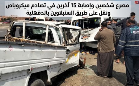 مصرع شخصين وإصابة 15 آخرين في تصادم ميكروباص ونقل على طريق السنبلاوين بالدقهلية